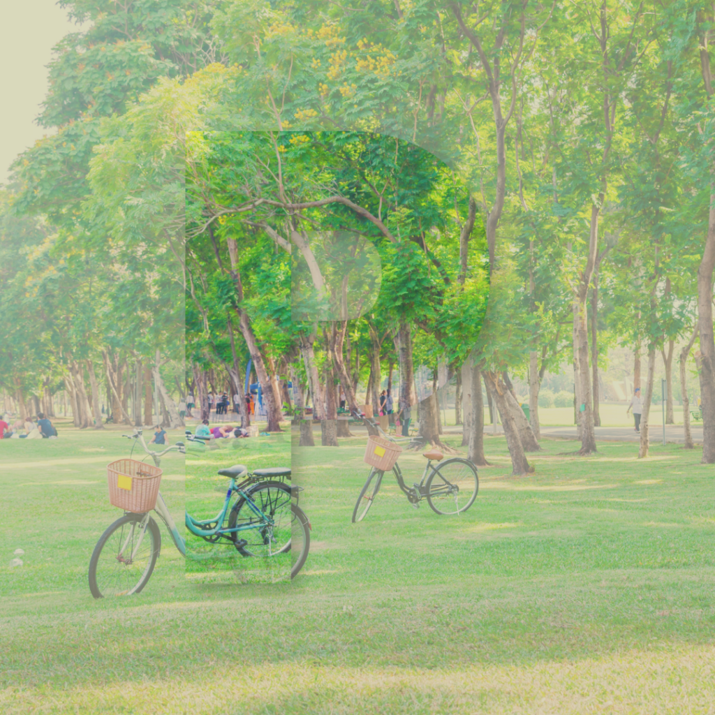 Park Akademicki